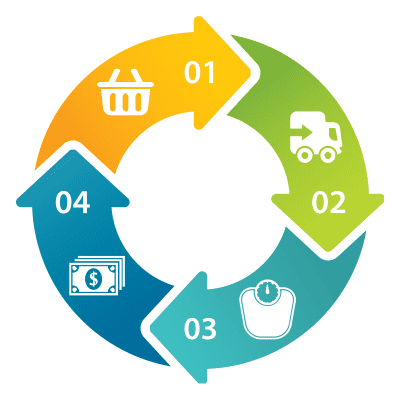 sustainability circle