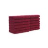 True Color Collection - Burgundy, 16" x 27"