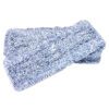 Premium Wet/Dry Loop Mops - Blue, 18"