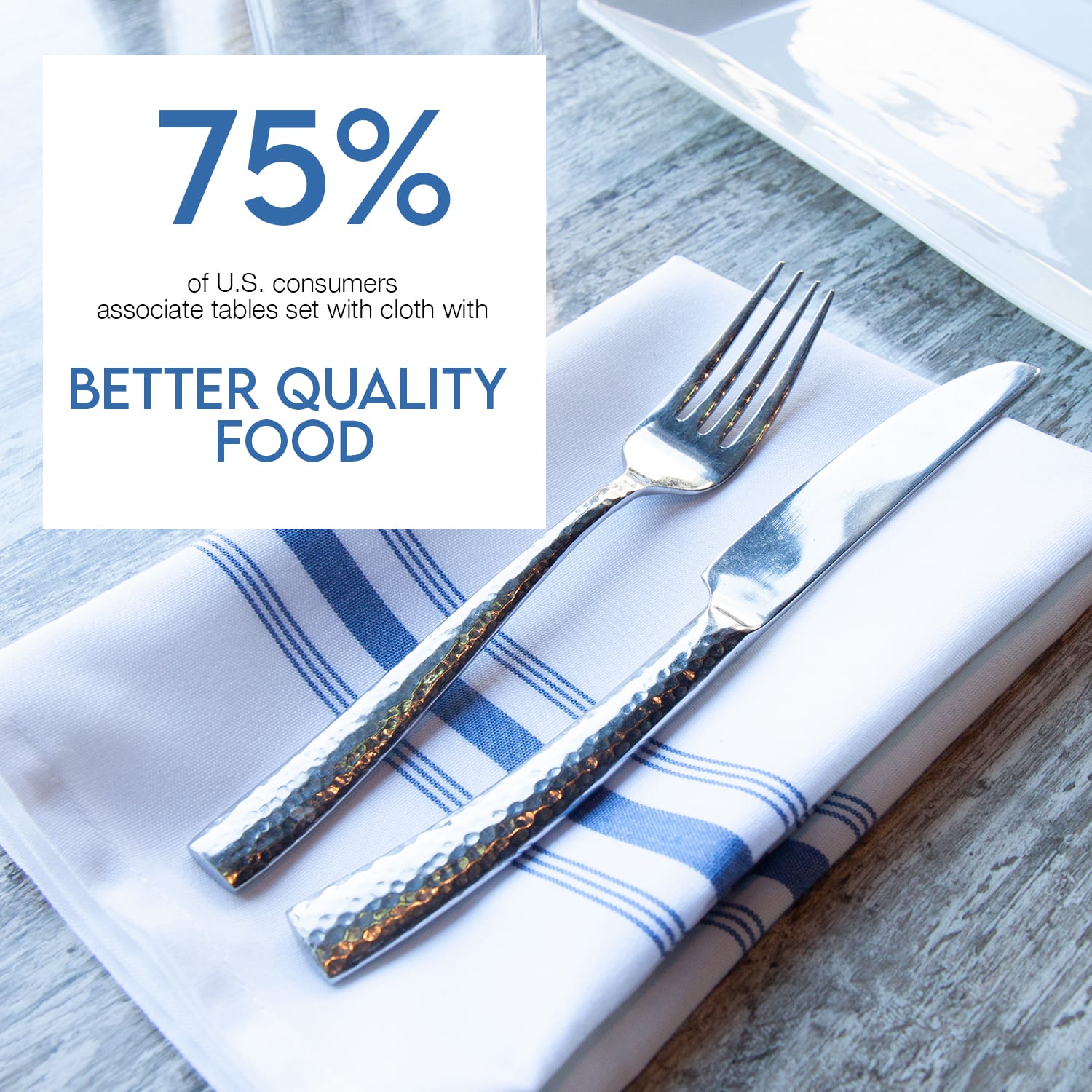 Basic Polyester Restaurant Quality Napkin, 74 Colors