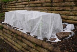 Cheesecloth covering garden greens